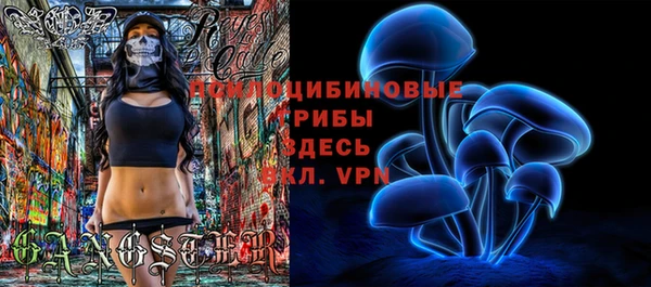 spice Алексеевка