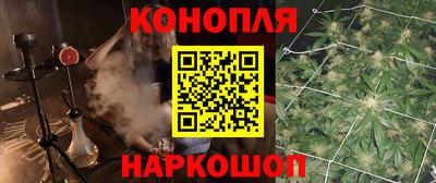стафф Камышлов