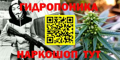стафф Камышлов
