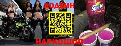 стафф Камышлов