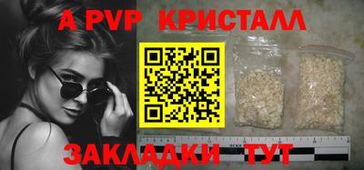 стафф Камышлов