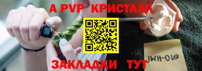 стафф Камышлов