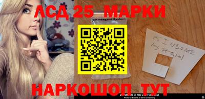 стафф Камышлов