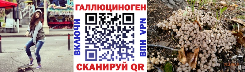 Псилоцибиновые грибы мицелий Менделеевск