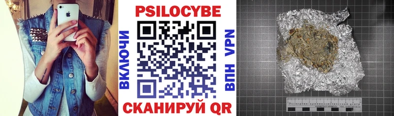 Псилоцибиновые грибы Cubensis  Менделеевск 